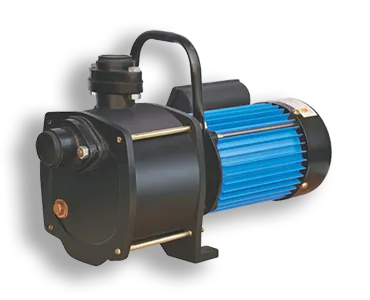 Domestic Water Pump